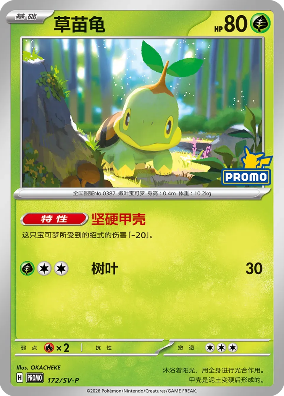 Turtwig 172 Normal