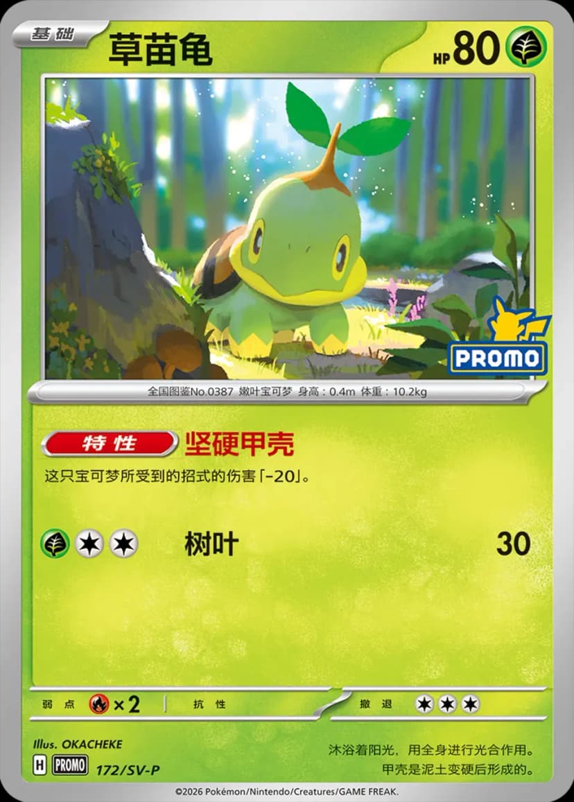 Turtwig 172