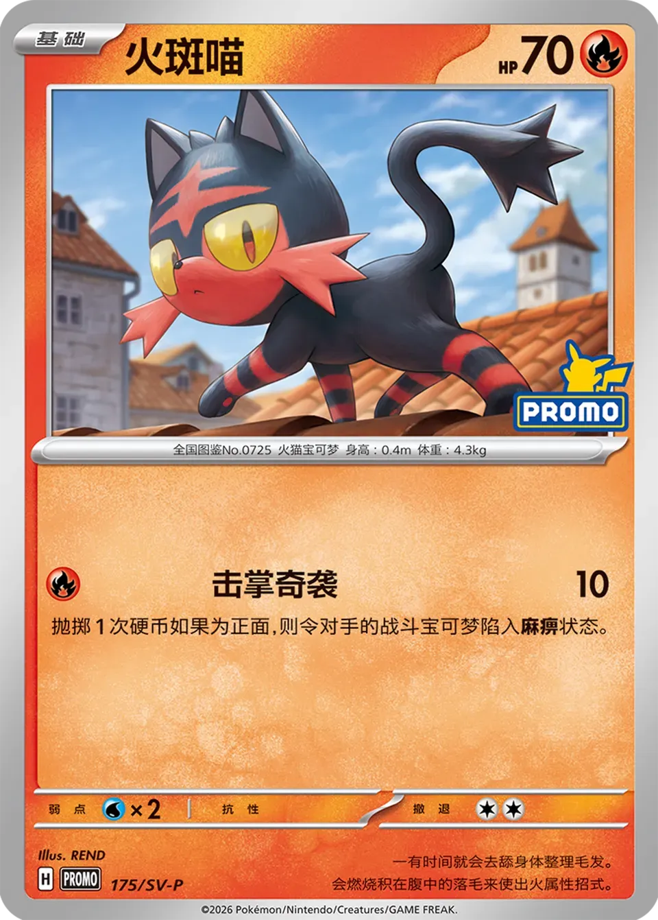 Litten 175 Normal
