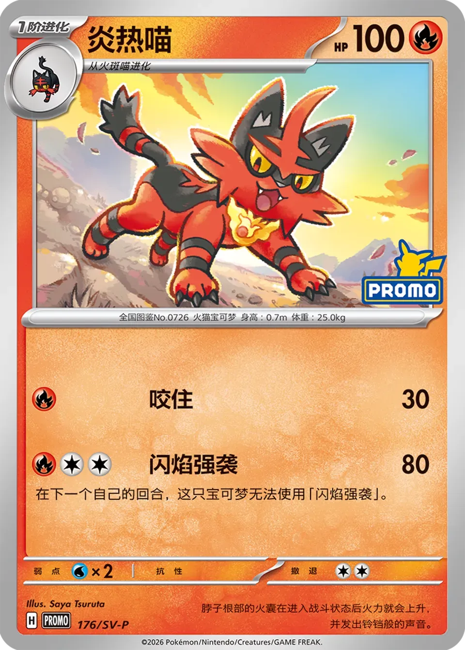 Torracat 176 Normal