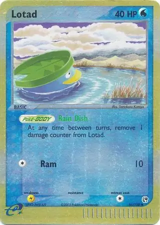 Lotad Reverse Holo 66