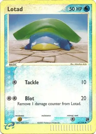 Lotad Reverse Holo 67 Normal