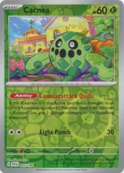 Cacnea Reverse Holo