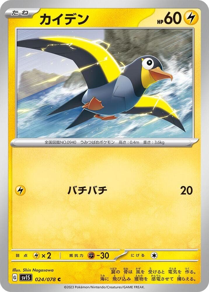 Wattrel 024