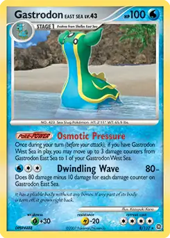 Gastrodon East Sea Holo 8