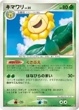 Sunflora 011