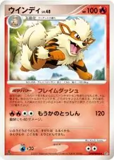 Arcanine 024