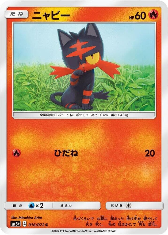 Litten 016