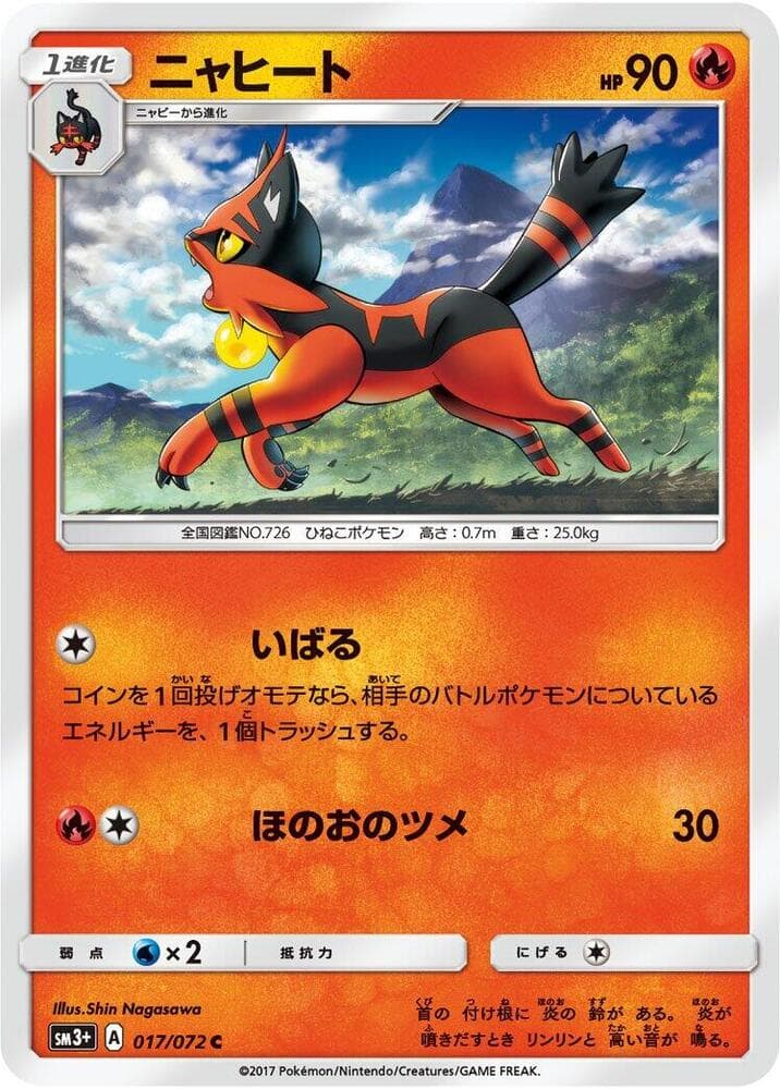 Torracat 017