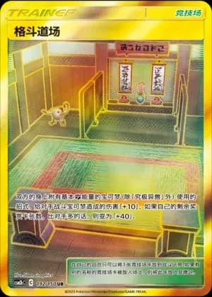 Martial Arts Dojo 192