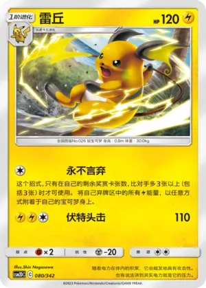Raichu 080