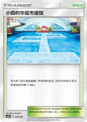 Misty's Cerulean City Gym 336 Normal