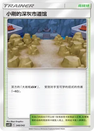 Brock's Pewter City Gym 340