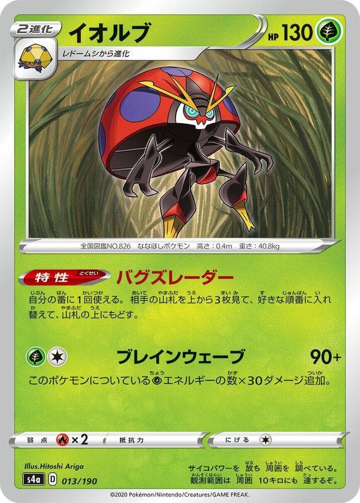 Orbeetle 013 Normal