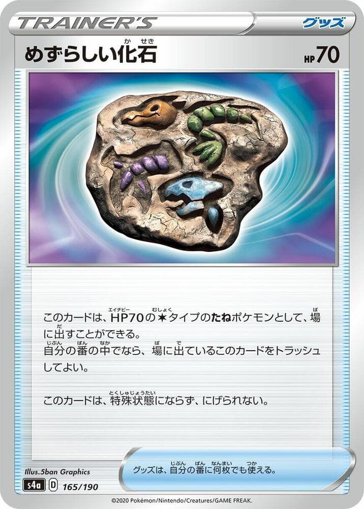 Rare Fossil 165
