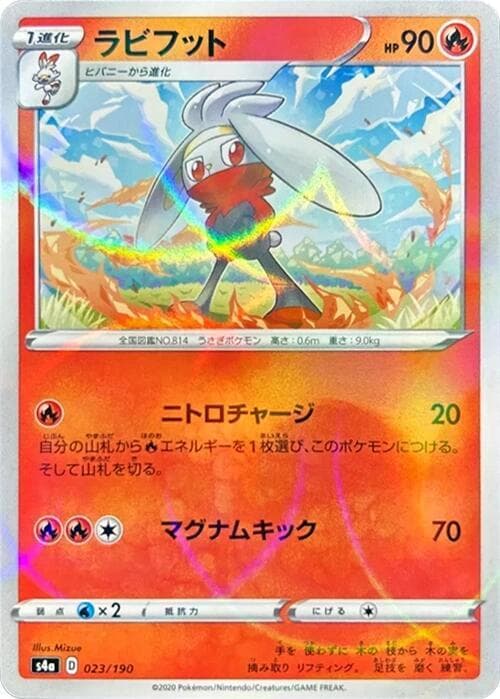 Raboot 23 Holo