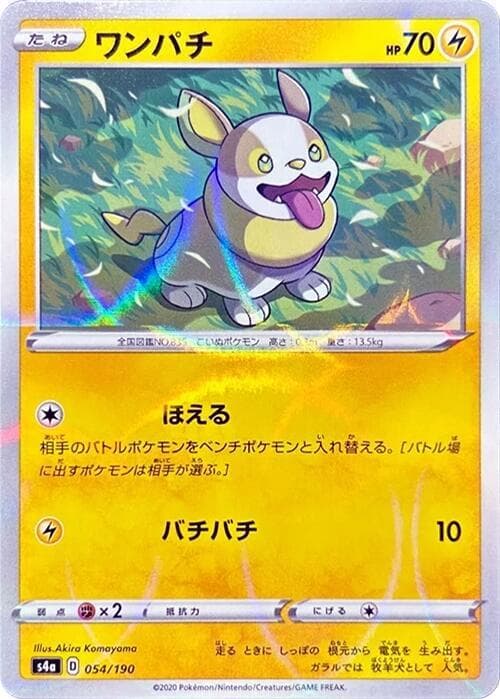 Yamper 54 Holo