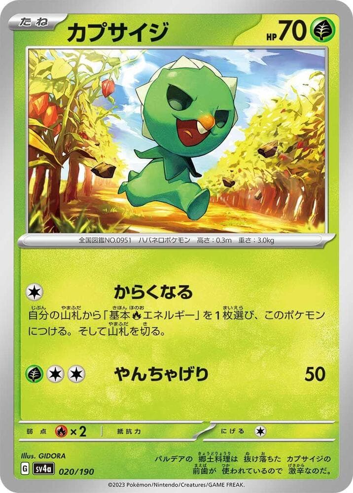 Capsakid Reverse Holo 020