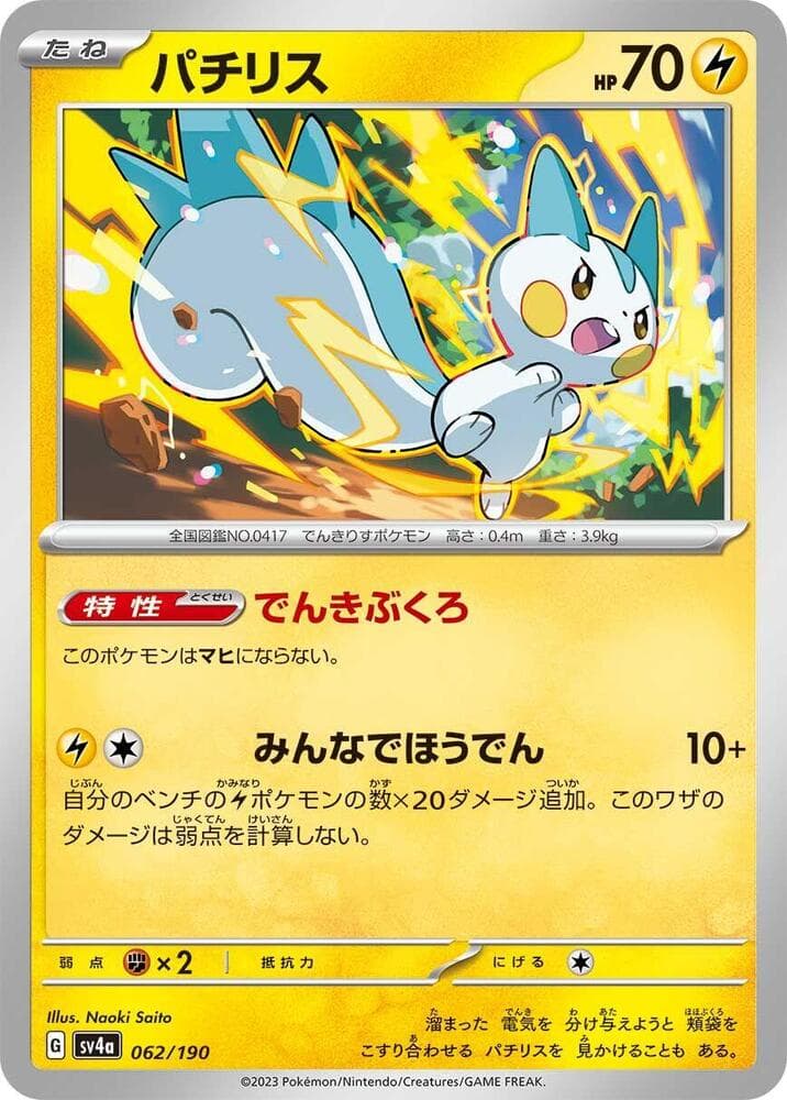 Pachirisu 062