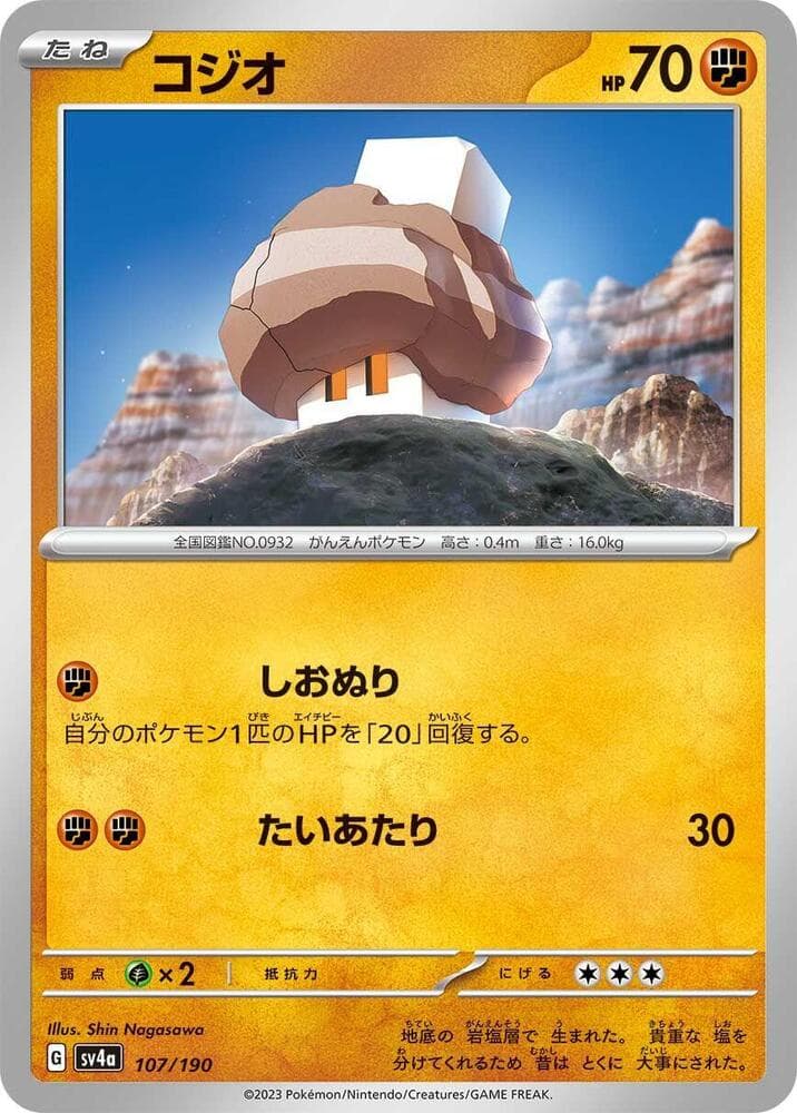 Nacli Reverse Holo 107