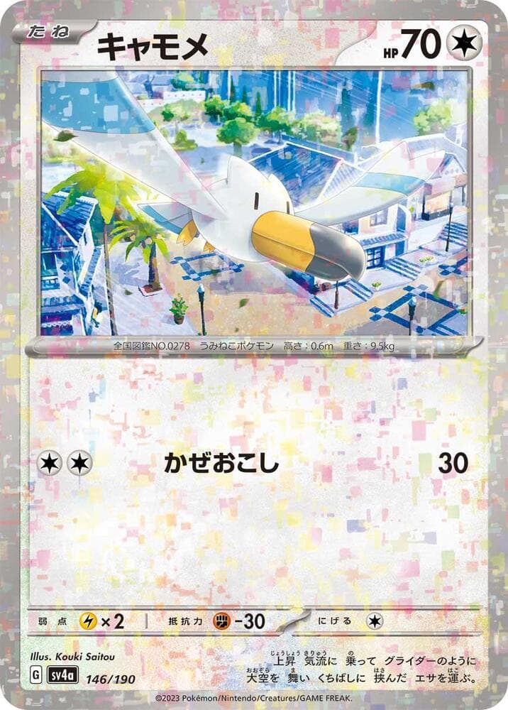 Wingull 146