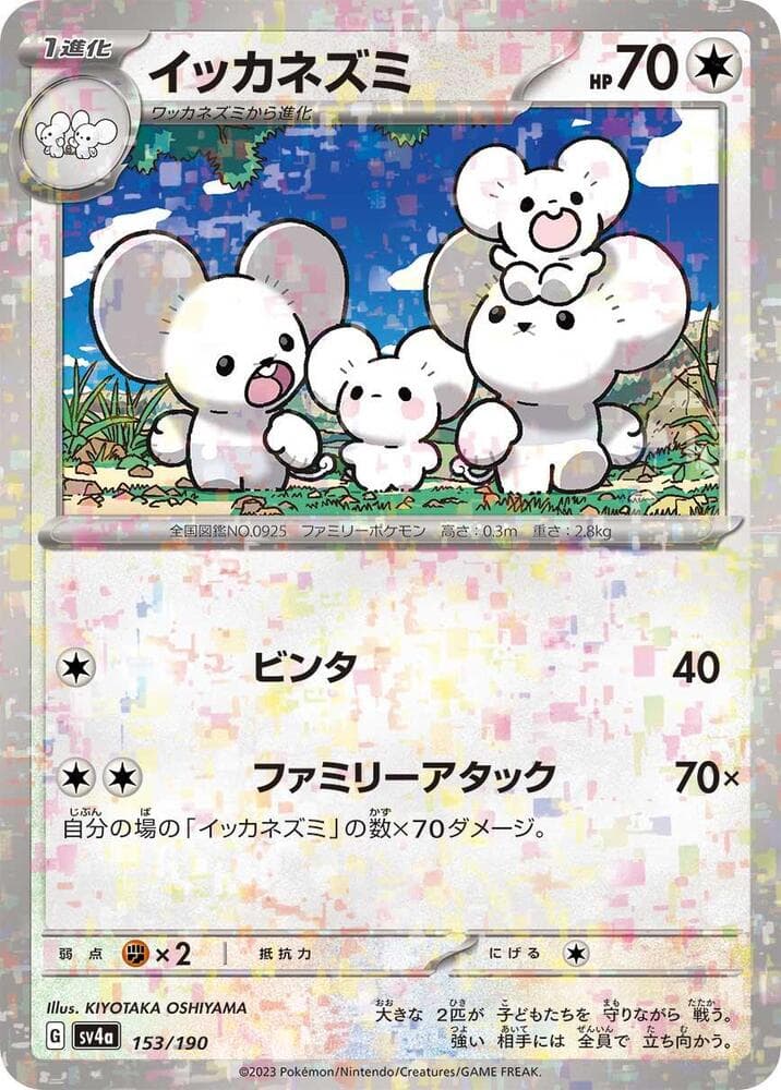 Maushold 153 Holo