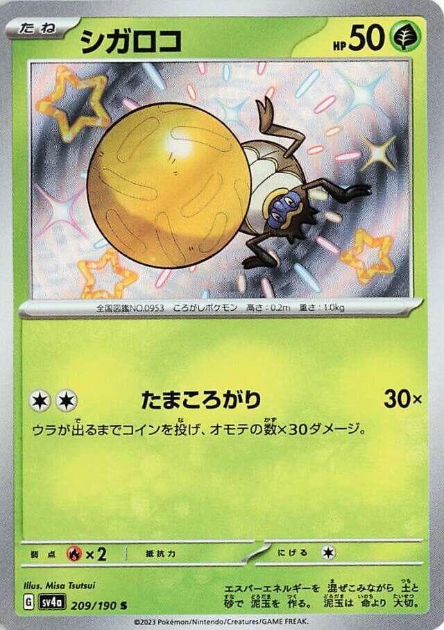 Rellor 209