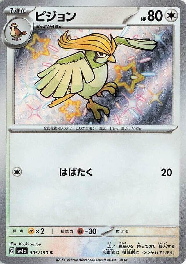 Pidgeotto 305
