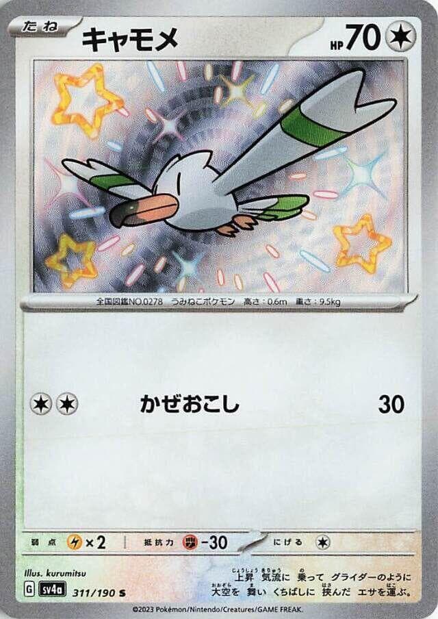 Wingull 311