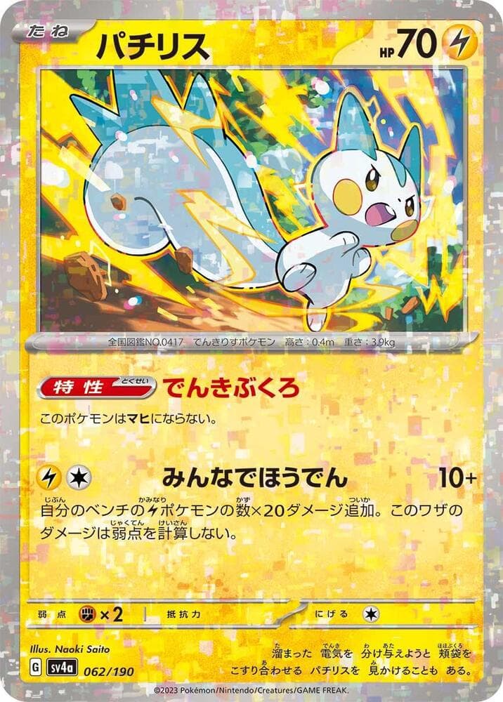 Pachirisu 62