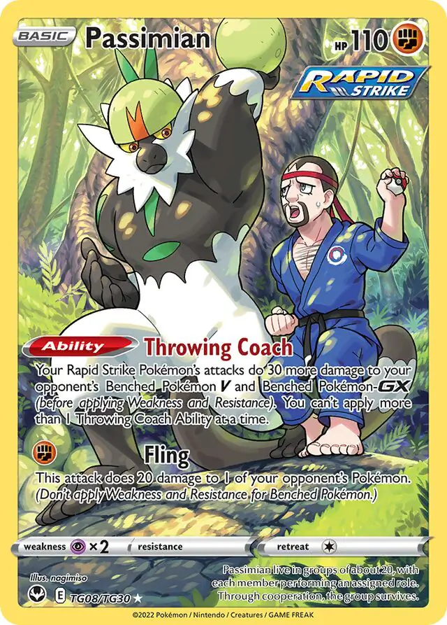 Passimian TG08 Normal