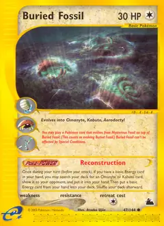 Buried Fossil 47 Normal