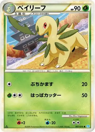 Bayleef 007