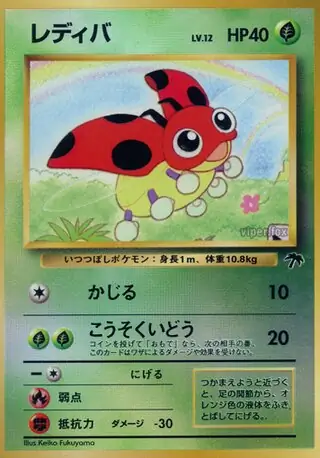 Ledyba   Normal