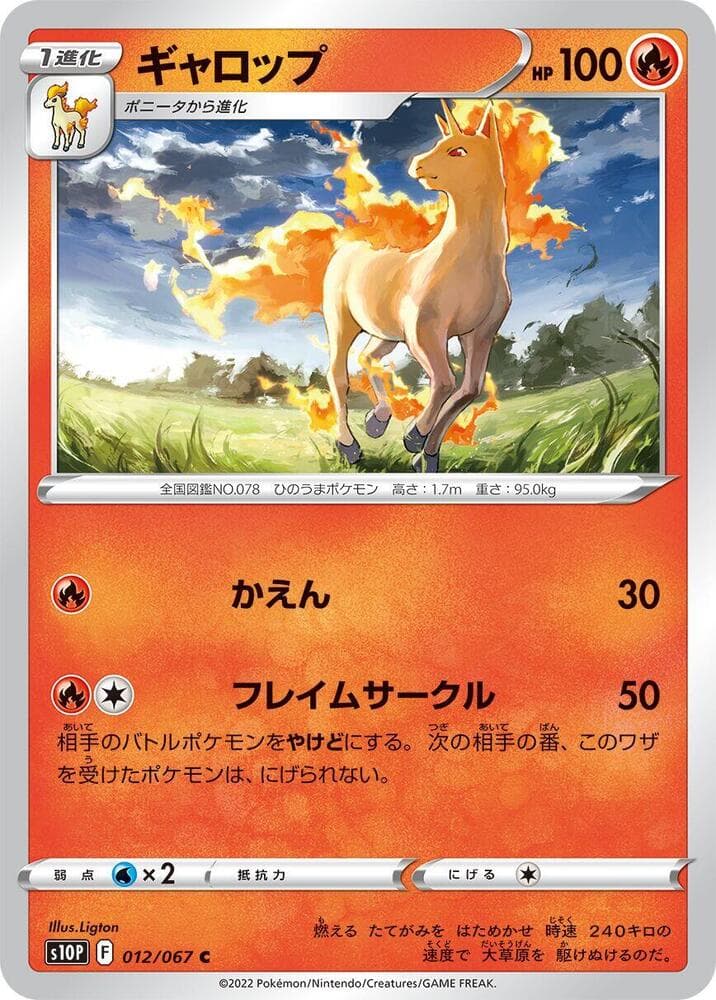 Rapidash 012