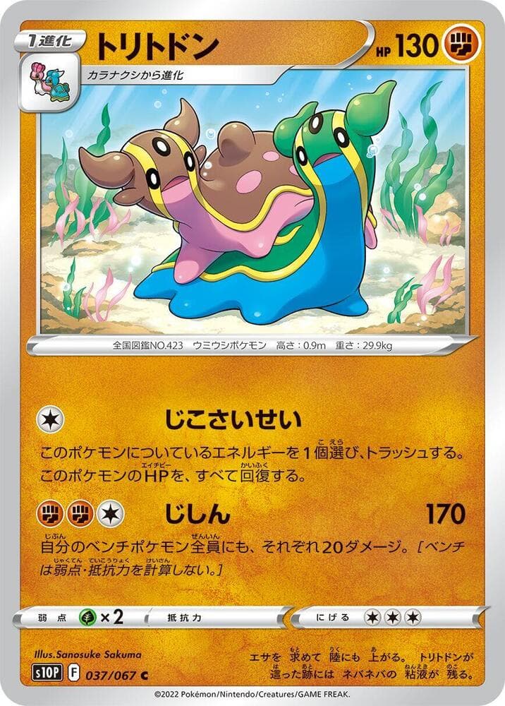 Gastrodon 037
