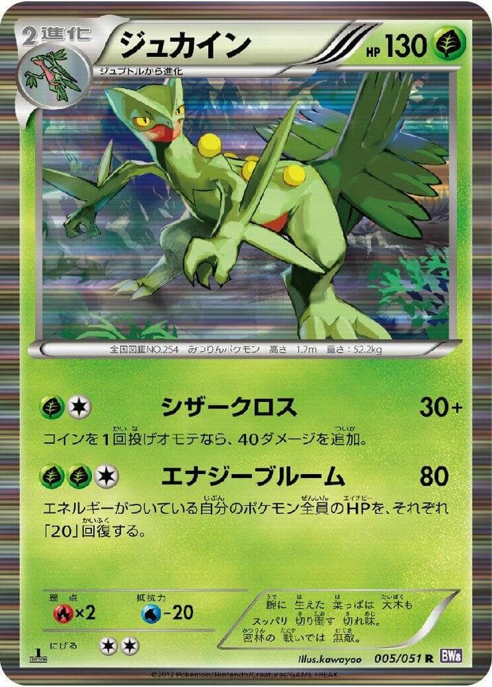 Sceptile 005 1st Edition holo