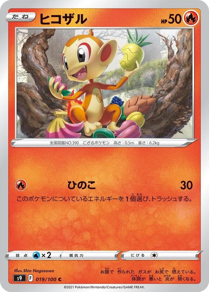 Chimchar 019 Normal
