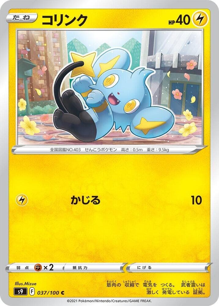 Shinx 037 Normal
