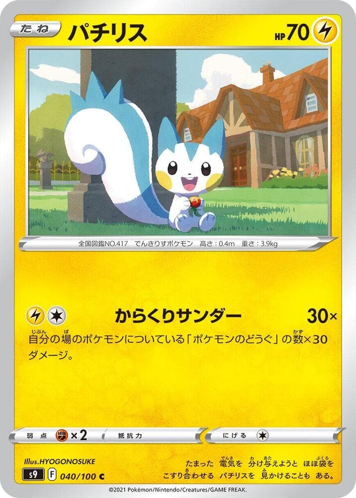Pachirisu 040