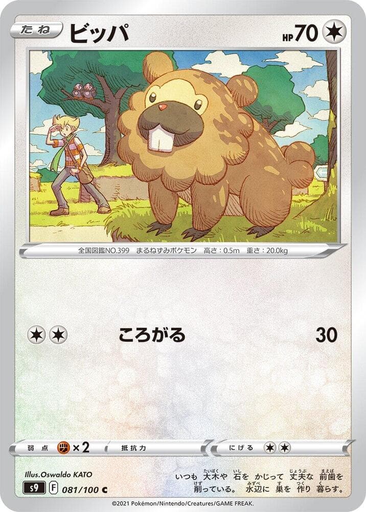 Bidoof 081