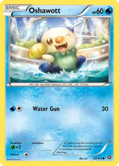 Oshawott 30 Normal