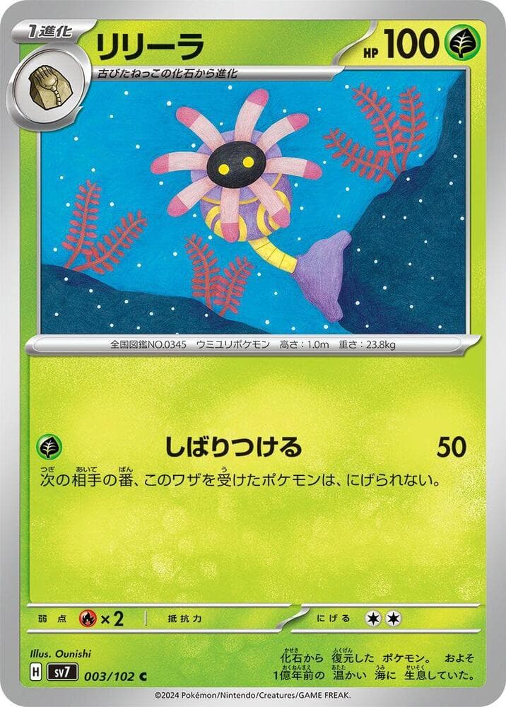 Lileep 003