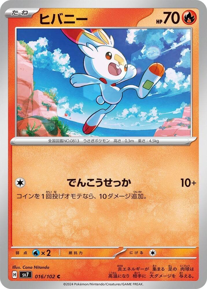 Scorbunny 016