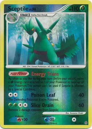 Sceptile Reverse Holo 10 Normal