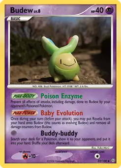 Budew 33