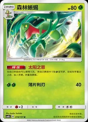 Grovyle 016