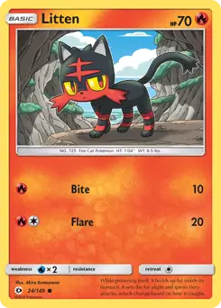 Litten 24 Normal