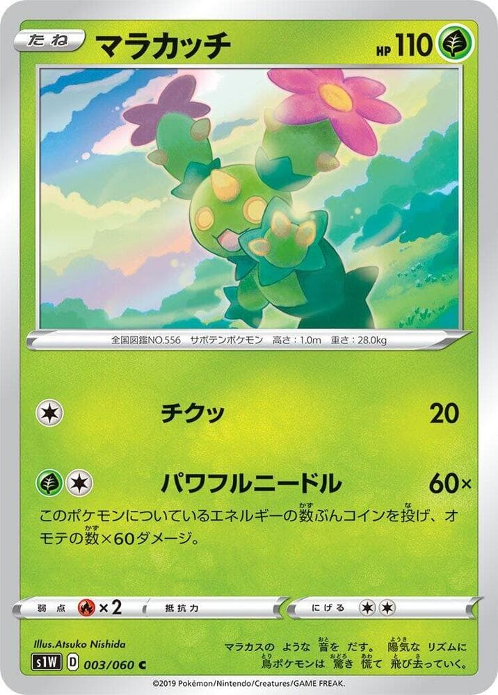 Maractus 003