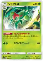 Grovyle 009